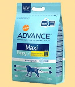 ADVANCE Dog Maxi Puppy (сухой корм для щенков крупных пород), 3 кг