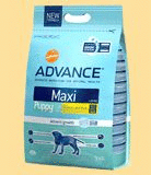 ADVANCE Dog Maxi Puppy (сухой корм для щенков крупных пород), 3 кг