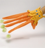 I.P.T.S. 419869 Игрушка д/кошек "Рукавица оранжевая", плюш 14*44*3см