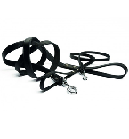 *I.P.T.S. 736353 Поводок кожаный цвет черный 130см*20мм