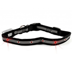 *I.P.T.S. 749626 Ошейник д/собак с лампочками черно-серый 40-65см*25мм