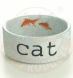 I.P.T.S. Snapshot Миска для кошек керамическая 11,5*4см